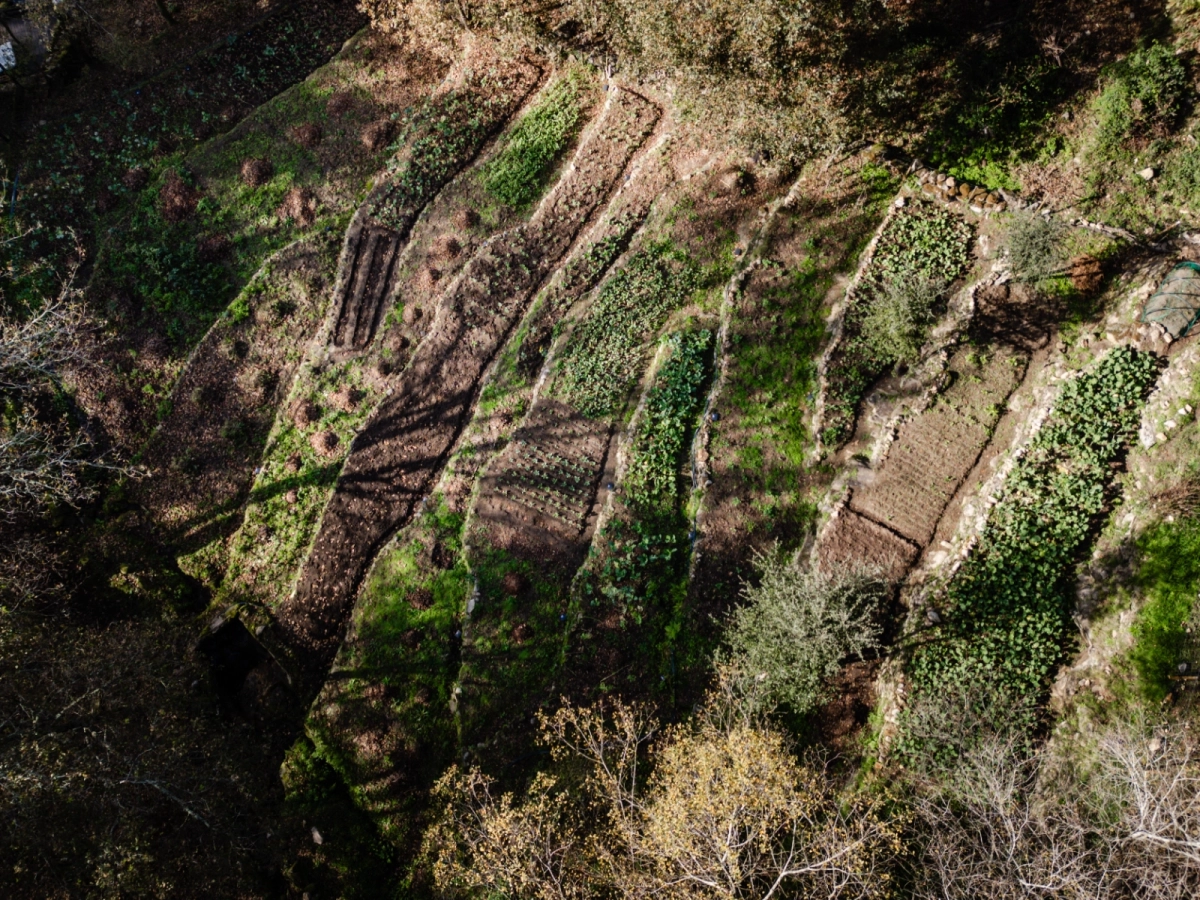 Quinta do Fradinho - 53